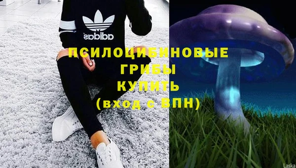 mdma Кинешма