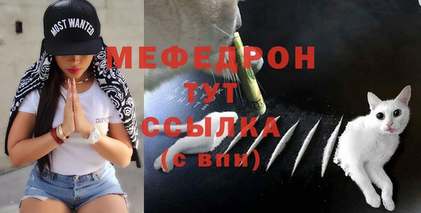 твердый Козловка