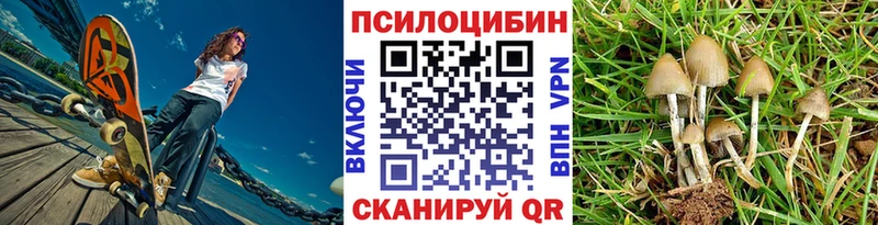 Галлюциногенные грибы мухоморы Кизилюрт